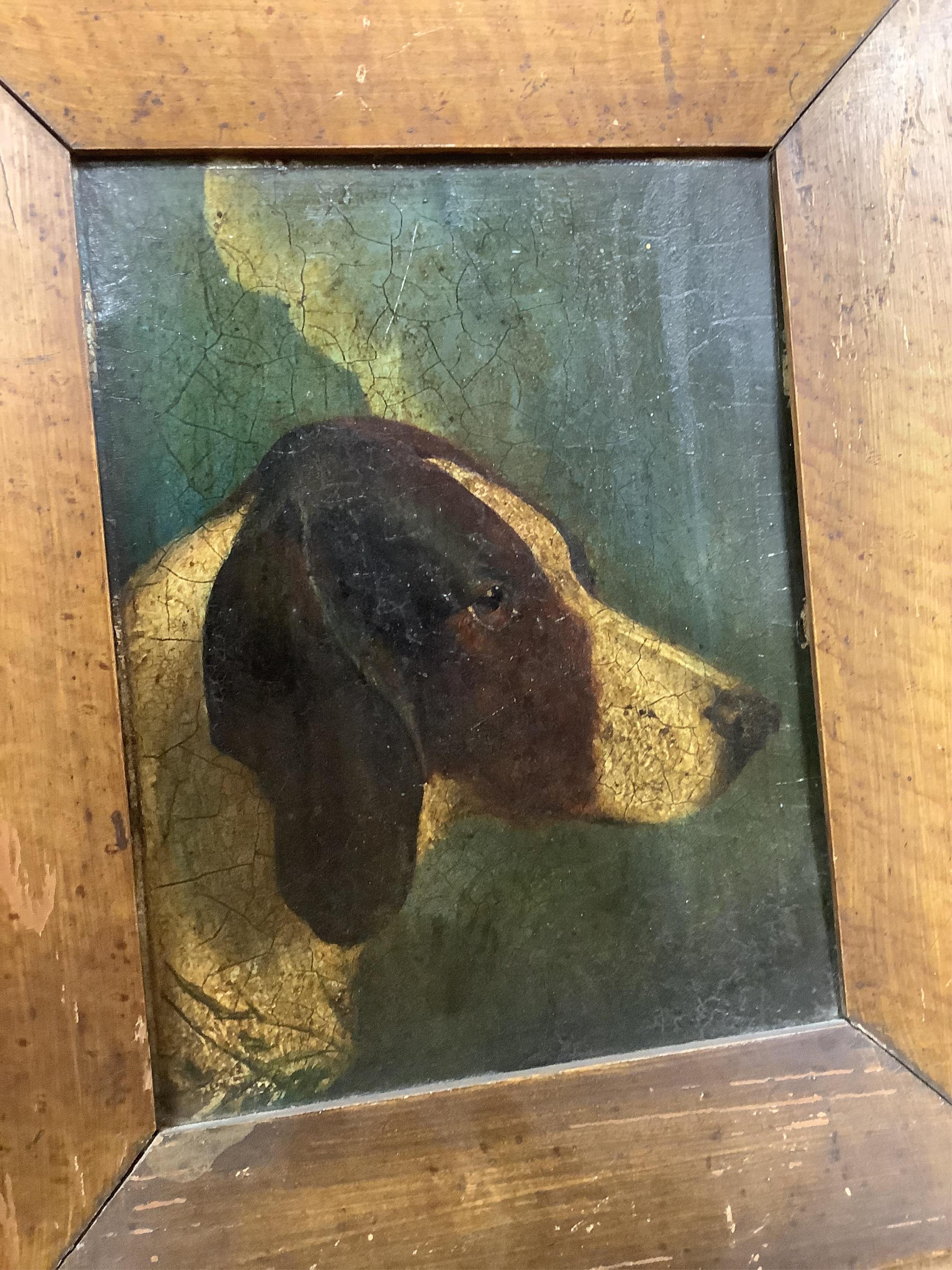 19th century, naive English School, oil on board, Study of a dog, possibly an English Pointer, 22 x 17cm. Condition - poor